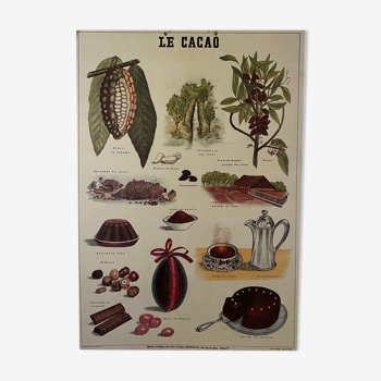 Cardboard poster Cacao