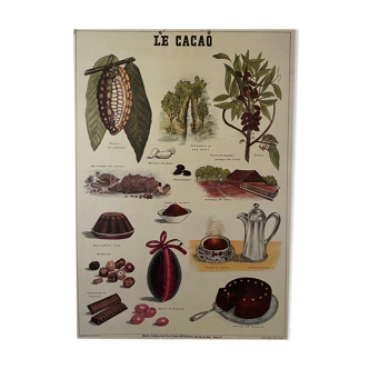 Cardboard poster Cacao