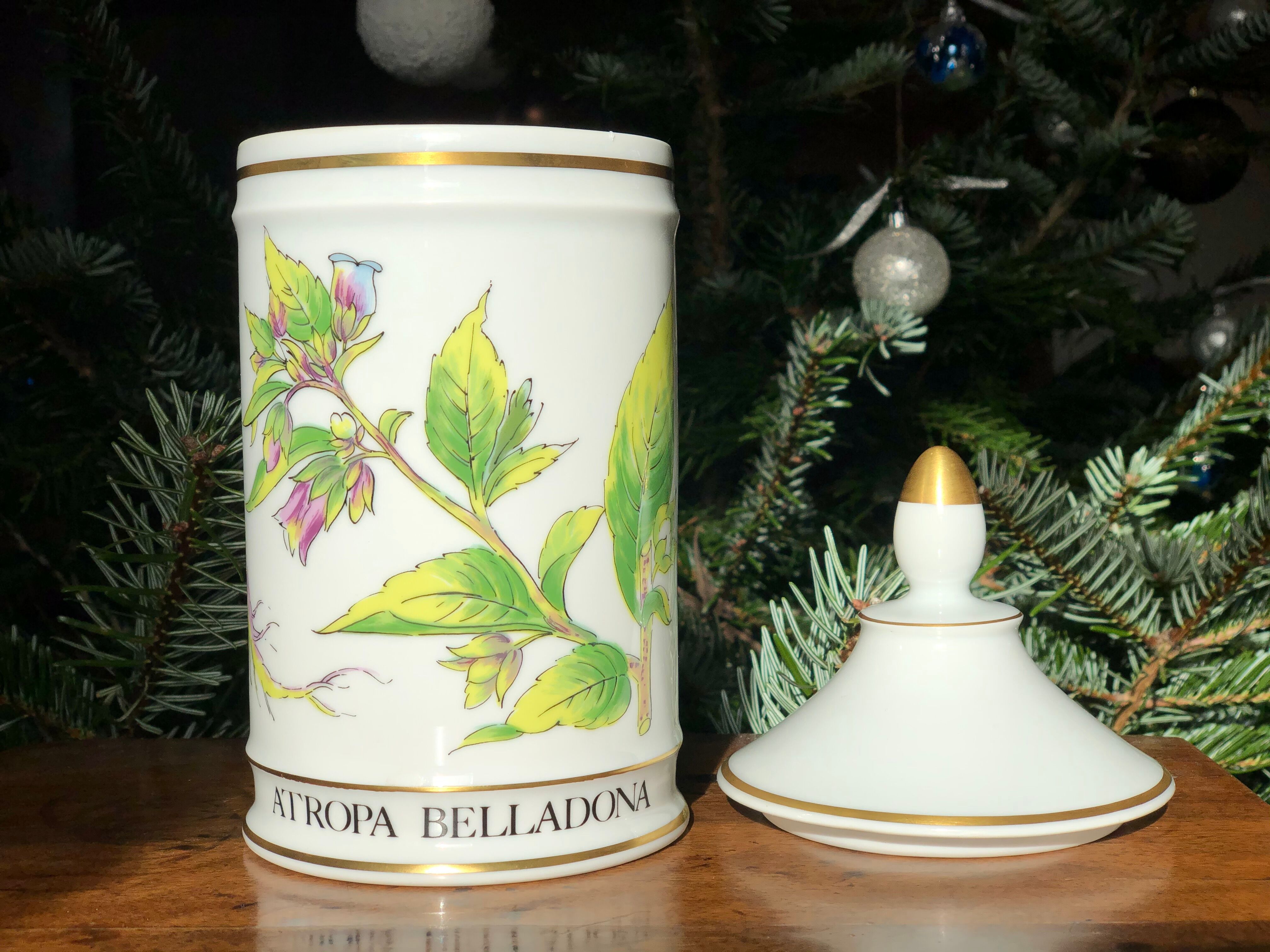 Pharmacy pot "Atropa belladona"