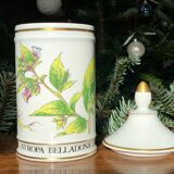 Pharmacy pot "Atropa belladona"