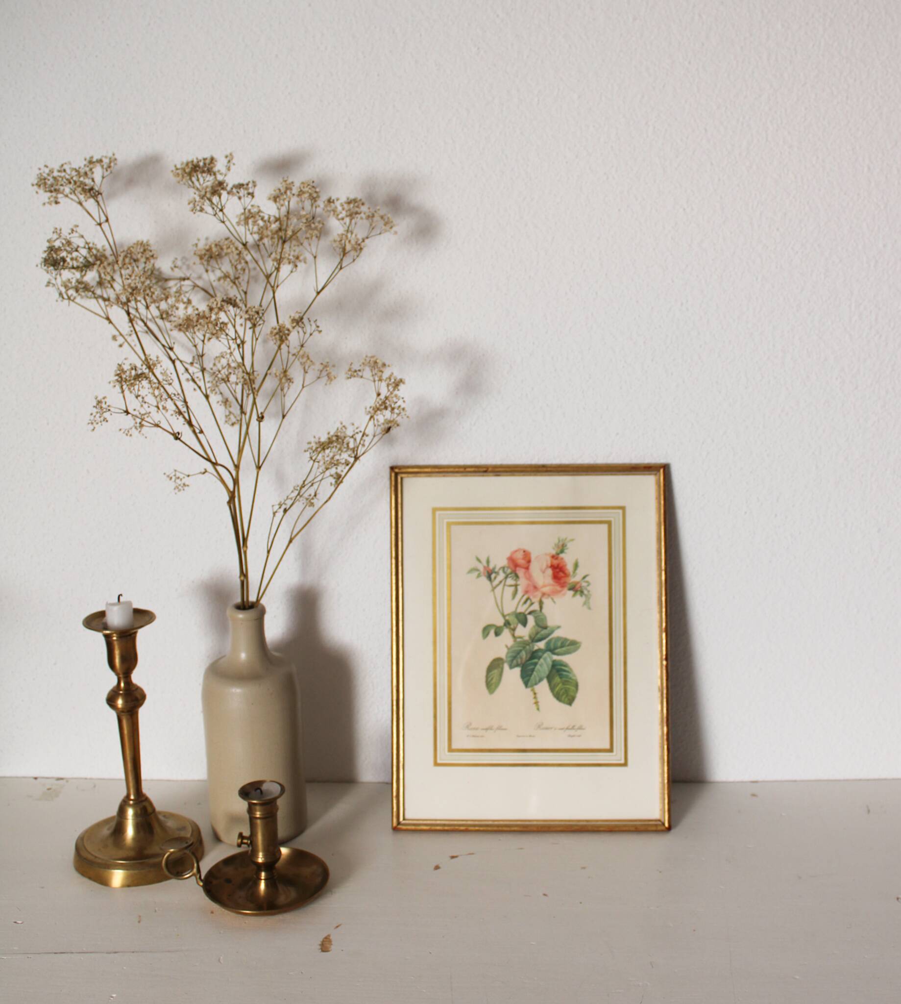 Golden frame botanical illustration