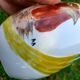 Retro Coq vase stamped Bavaria