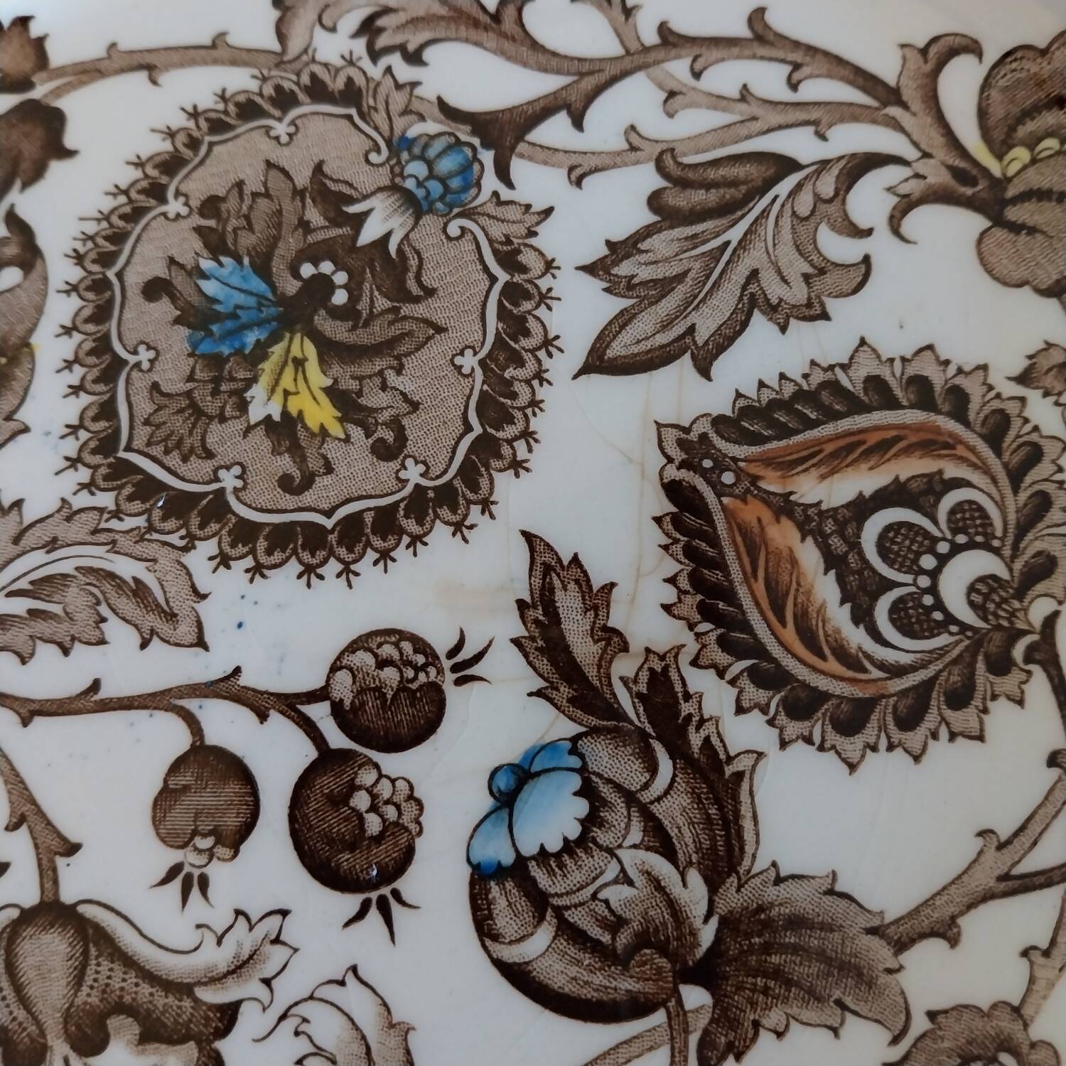 Ridgway Jacobean pattern English dinner plates
