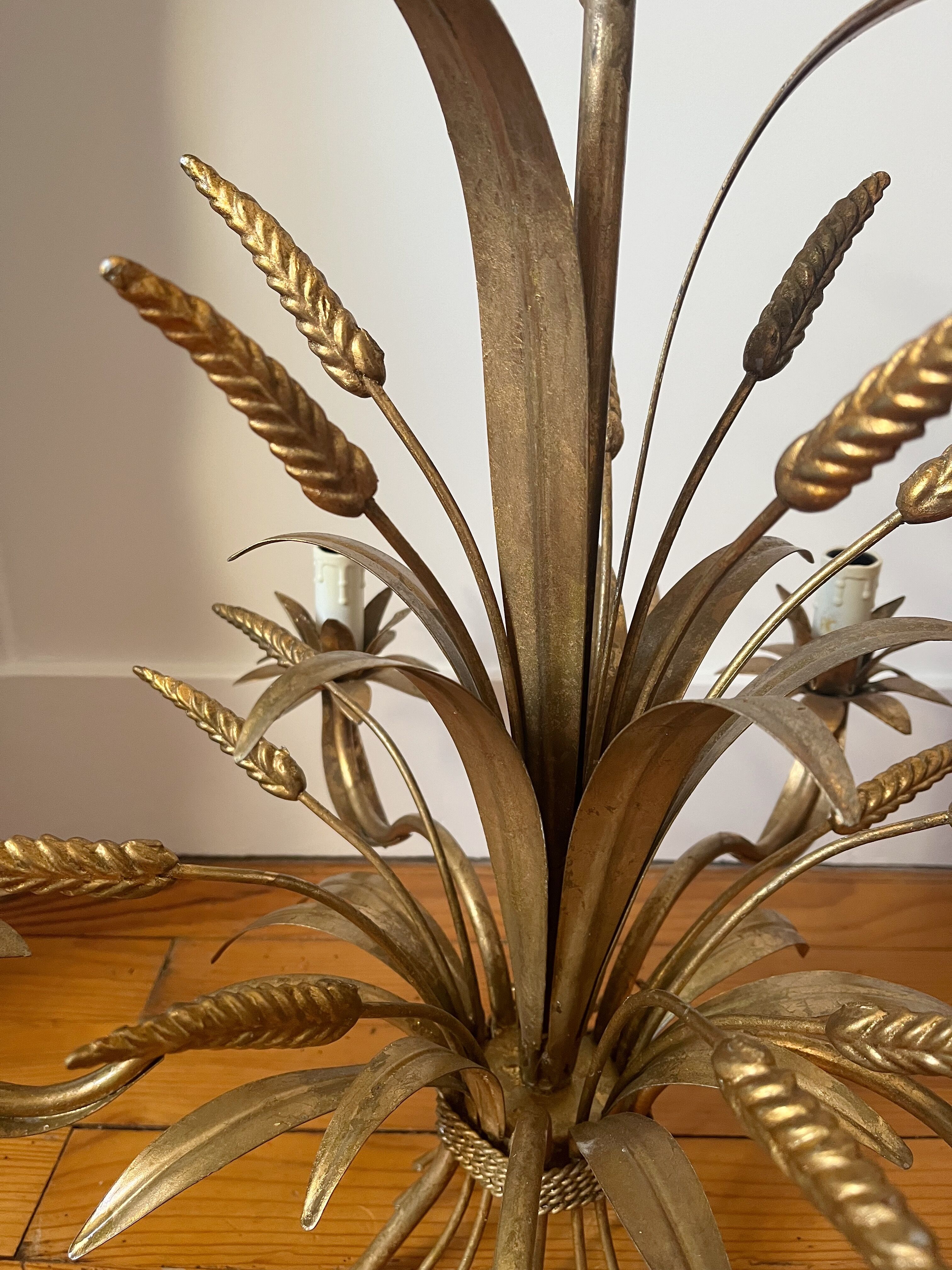 Golden wheat coat luster