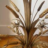 Golden wheat coat luster