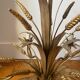 Golden wheat coat luster