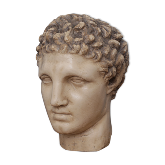 Greek head in waxed plaster