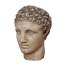Greek head in waxed plaster
