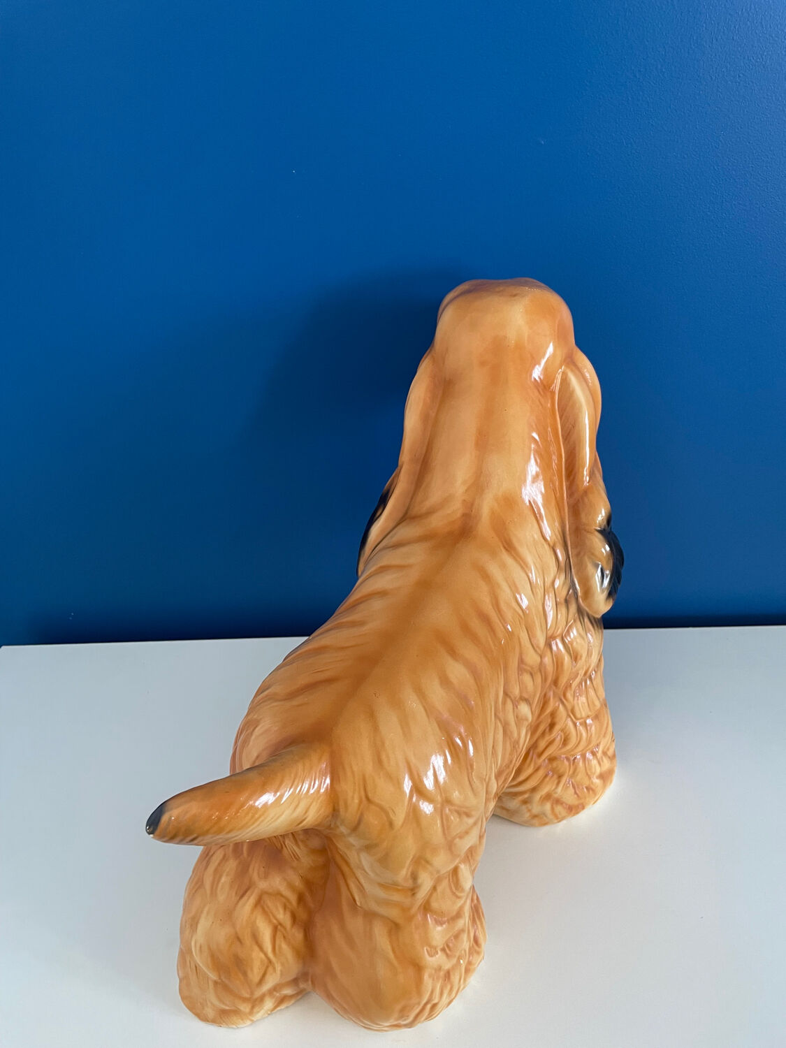 English Cocker Spaniel Dog Status