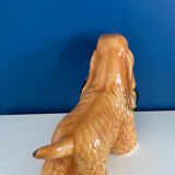 English Cocker Spaniel Dog Status