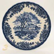 6 assiettes à dessert en faïence anglaise Myott Meakin