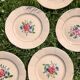 Six plates Digoin Sarreguemines