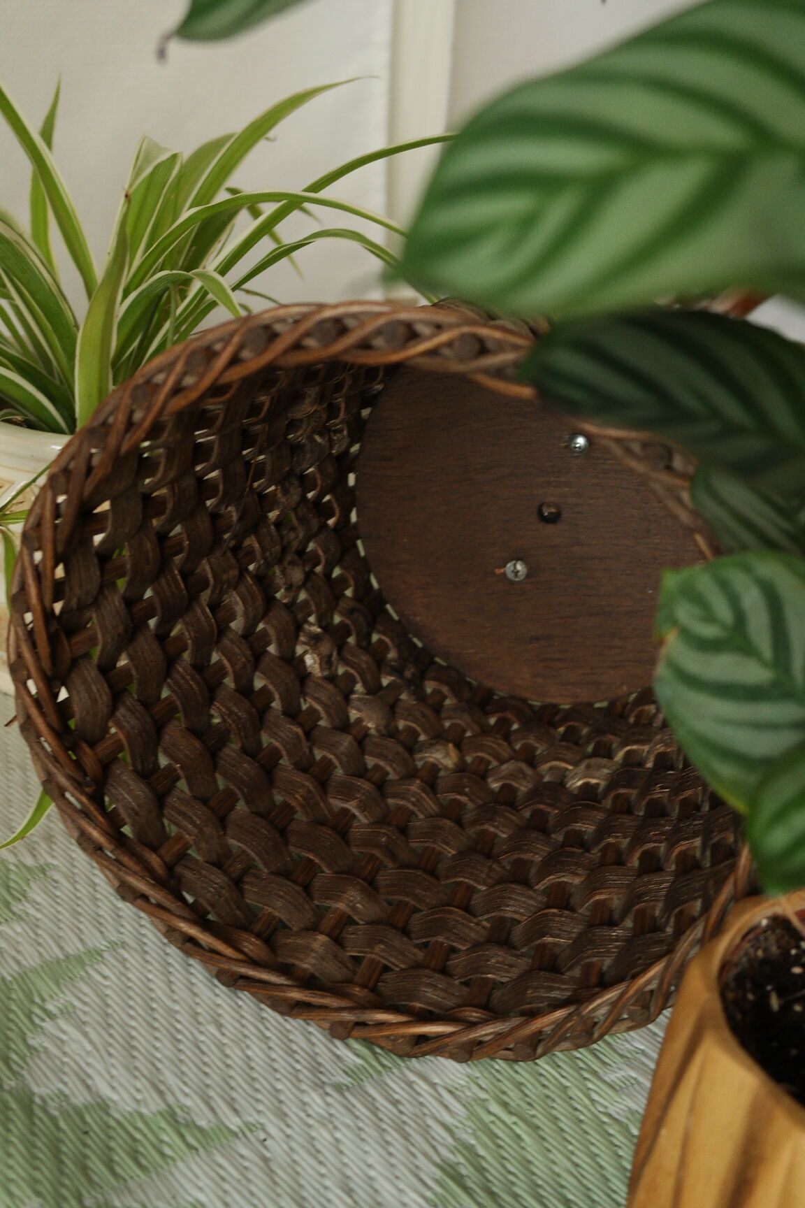 Sole-on-foot door in vintage braided reeded curved wood