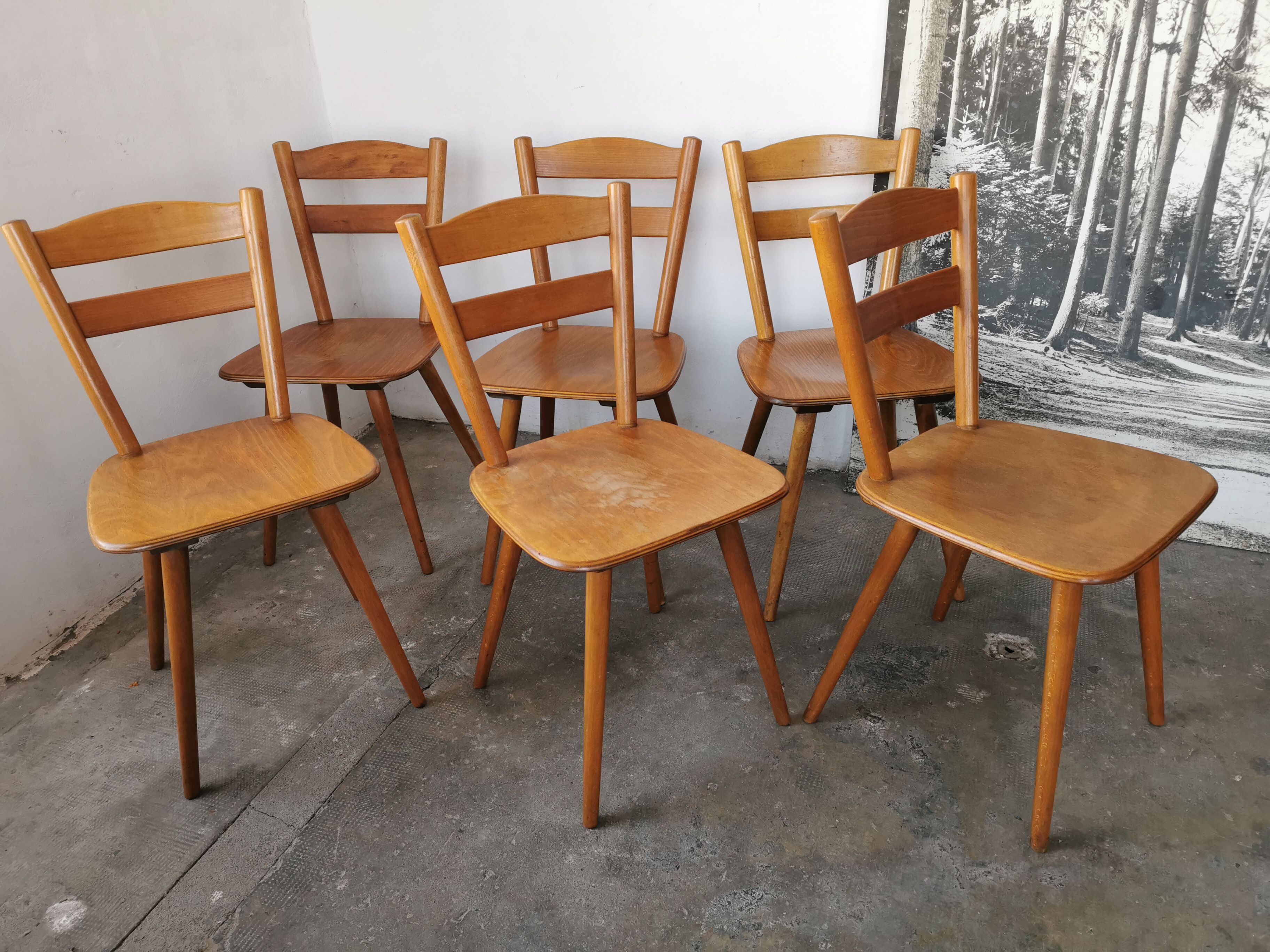 Set of 6 vintage chairs 1960 bistro