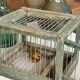 Cage à oiseaux en bois et acier