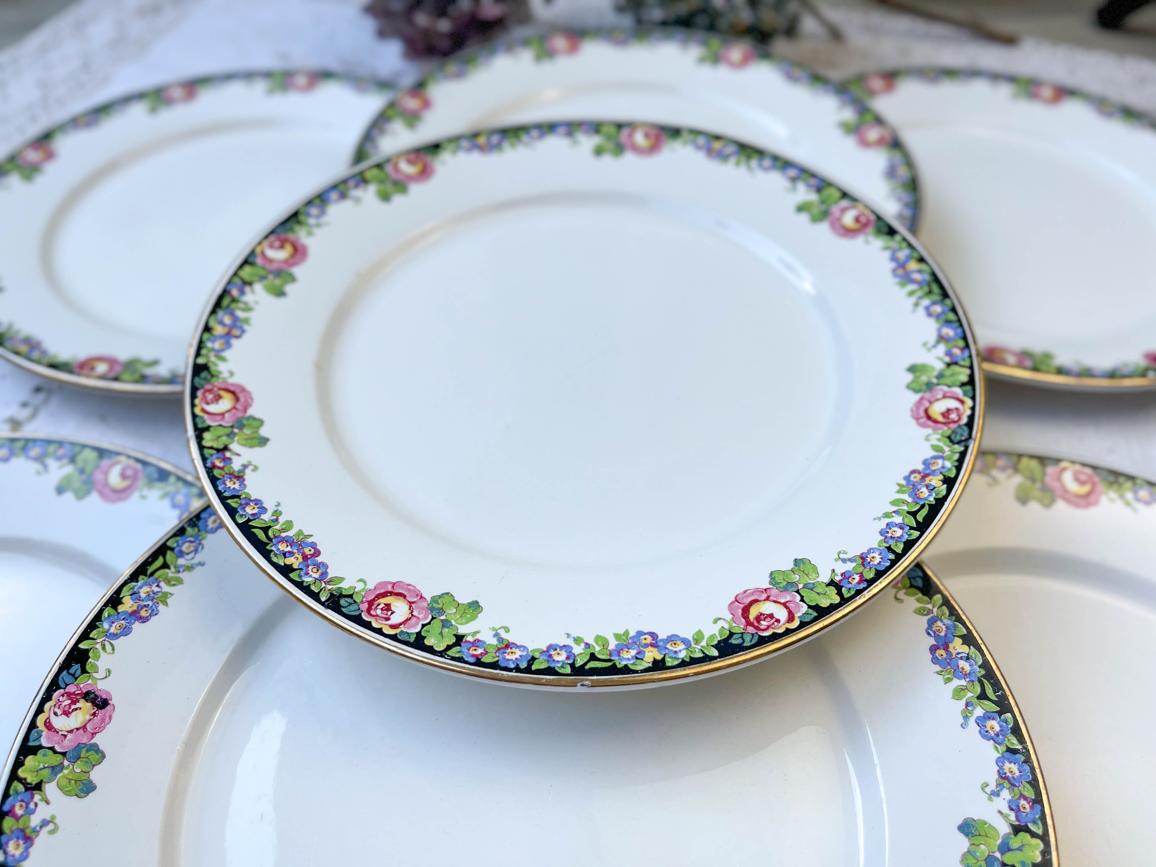 7 opaque porcelain dinner plates Digoin floral pattern 3984