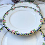 7 opaque porcelain dinner plates Digoin floral pattern 3984