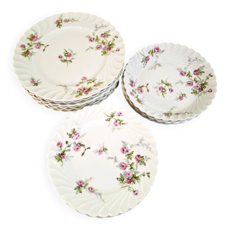 Haviland Limoges porcelain plates