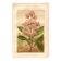 Botanical engraving from 1889. Cinchona by A. Lefevre - Colour lithograph.