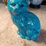 Chat chinois bleu turquoise