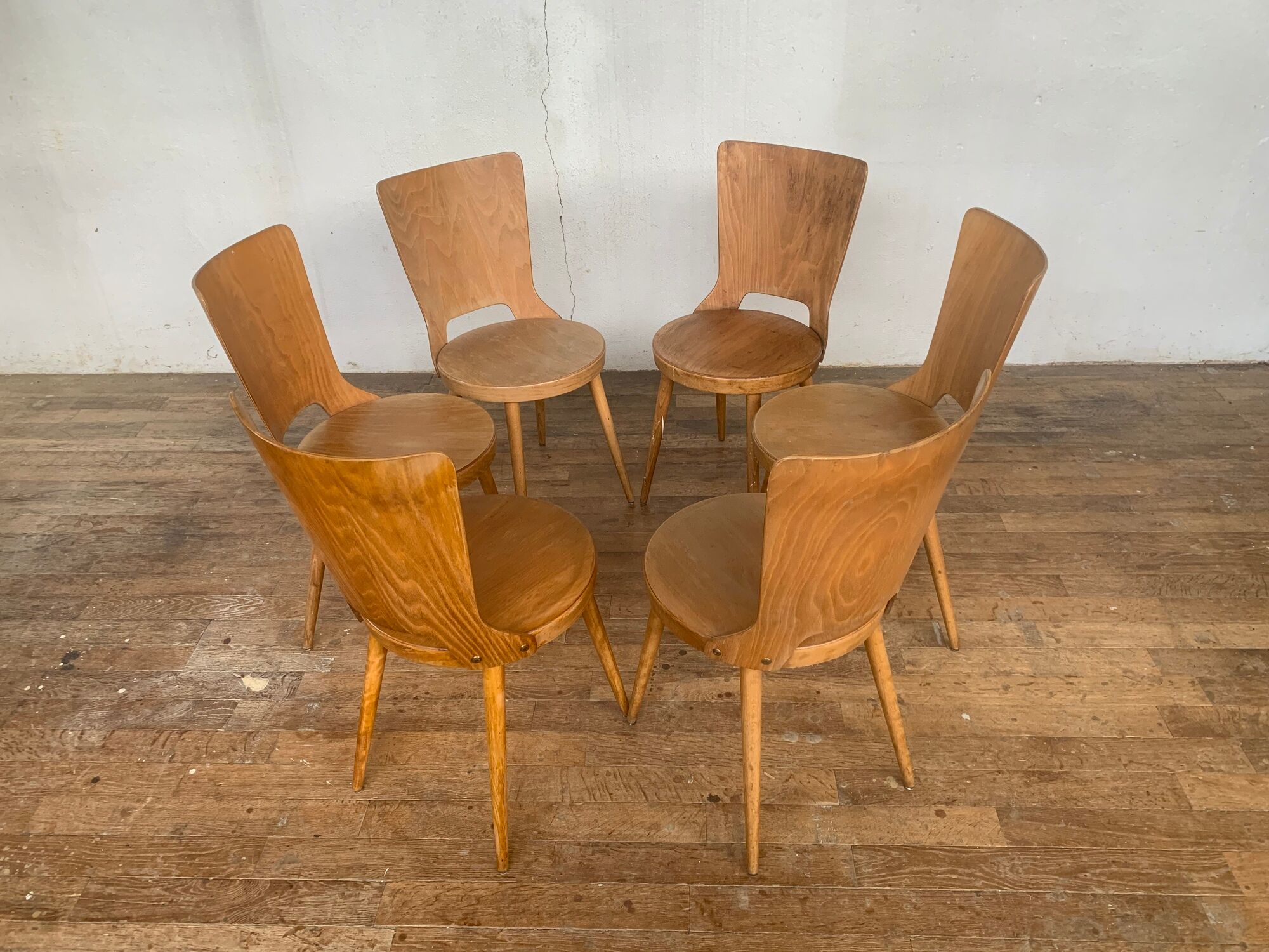 Series of 6 chairs bistro Baumann model Dove year 1950/1960