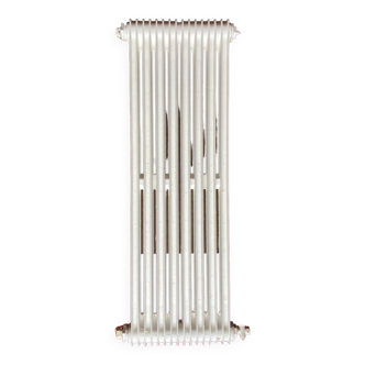 Cast iron radiator