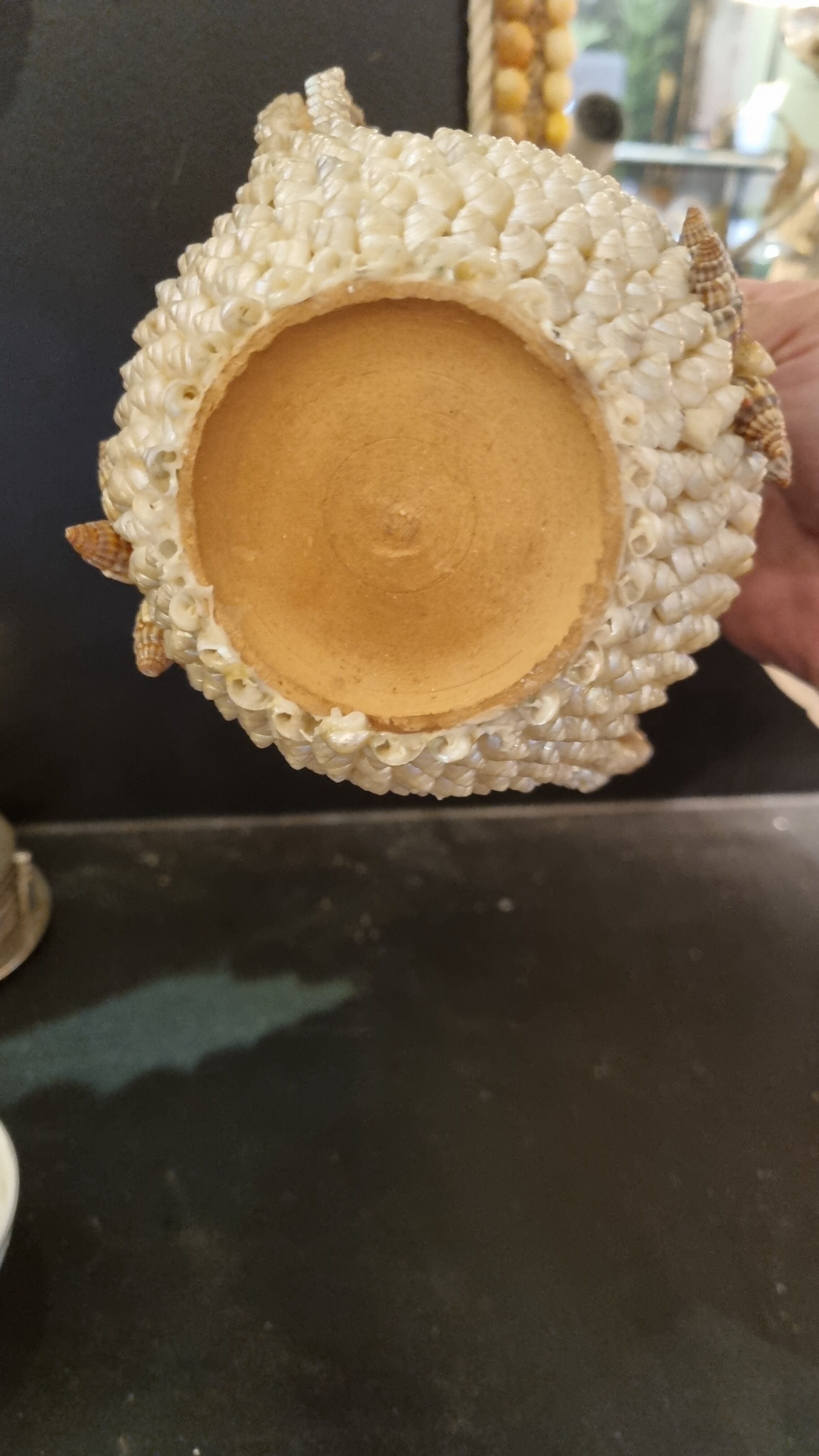 Vase coquillages