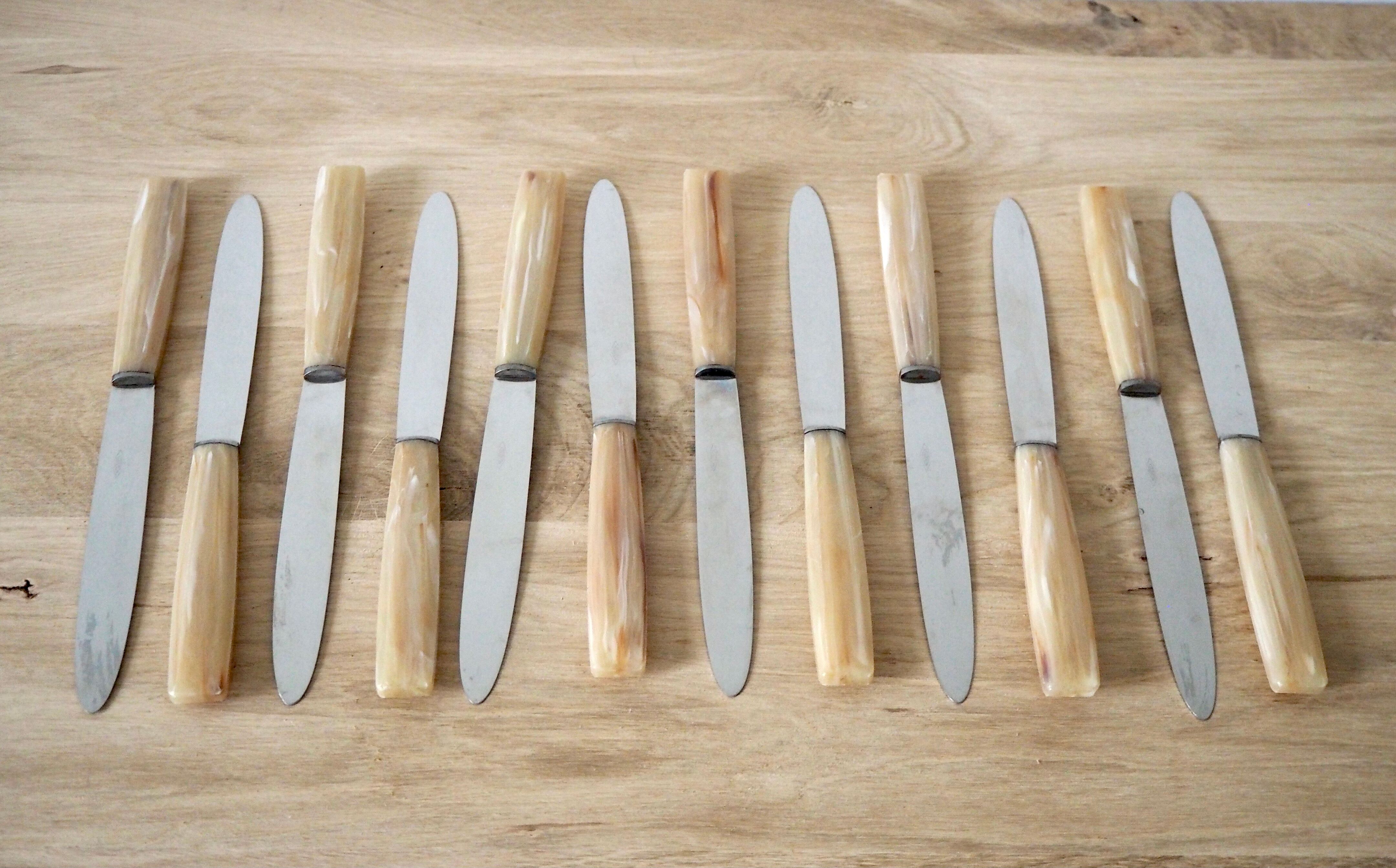 Set de 12 couteaux avec manches effet corne dans leur coffret