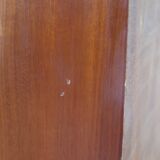 Scandinavian shoe cabinet