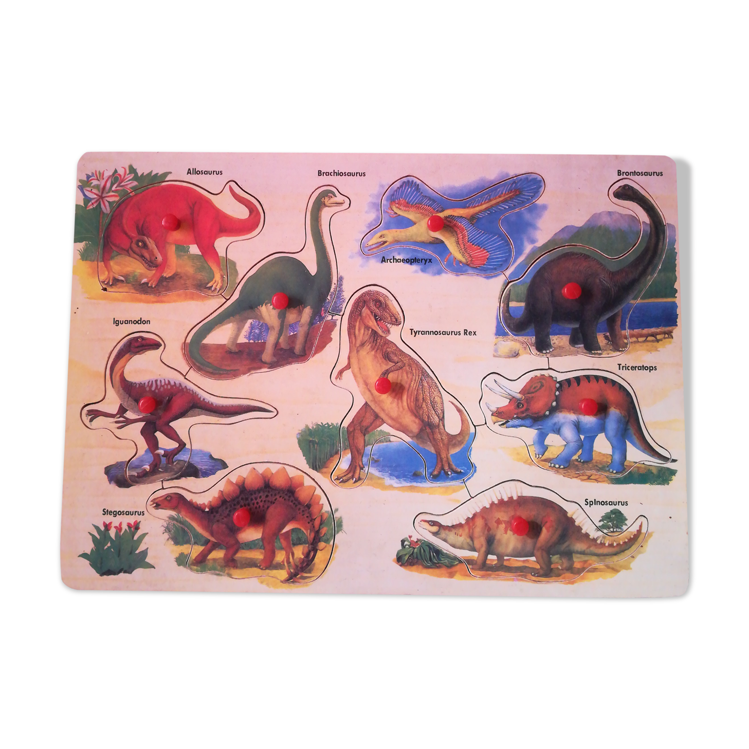 Wooden puzzle -- the dinausares