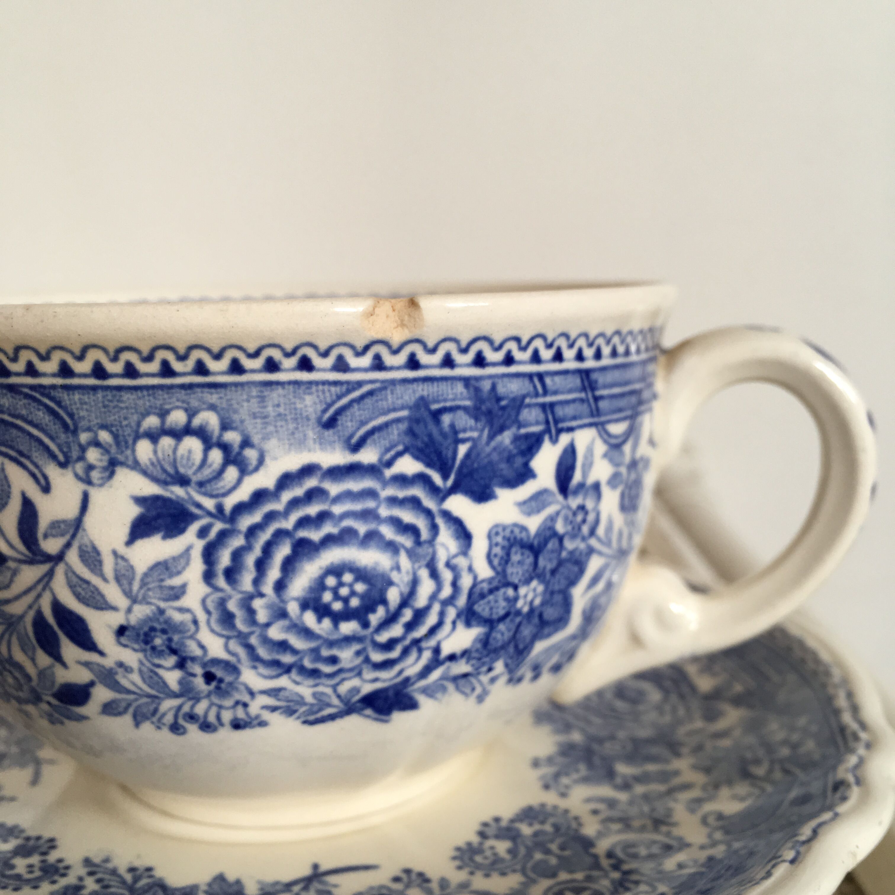 Cup porcelain Villeroy and Boch "Burgenland"