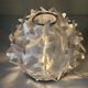 Cactus lamp slamp design adriano rachele Italy
