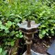 Large church candlestick in bronze, 19th century.
