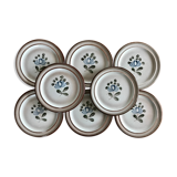 Dessert sandstone plates