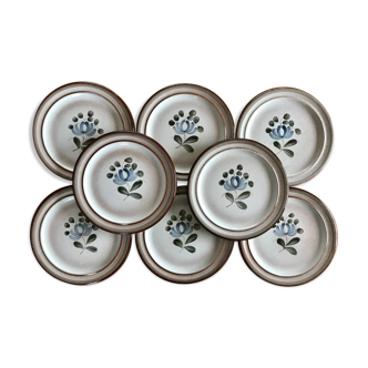 Dessert sandstone plates
