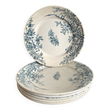 Badonviller ironstone plates "Roses"