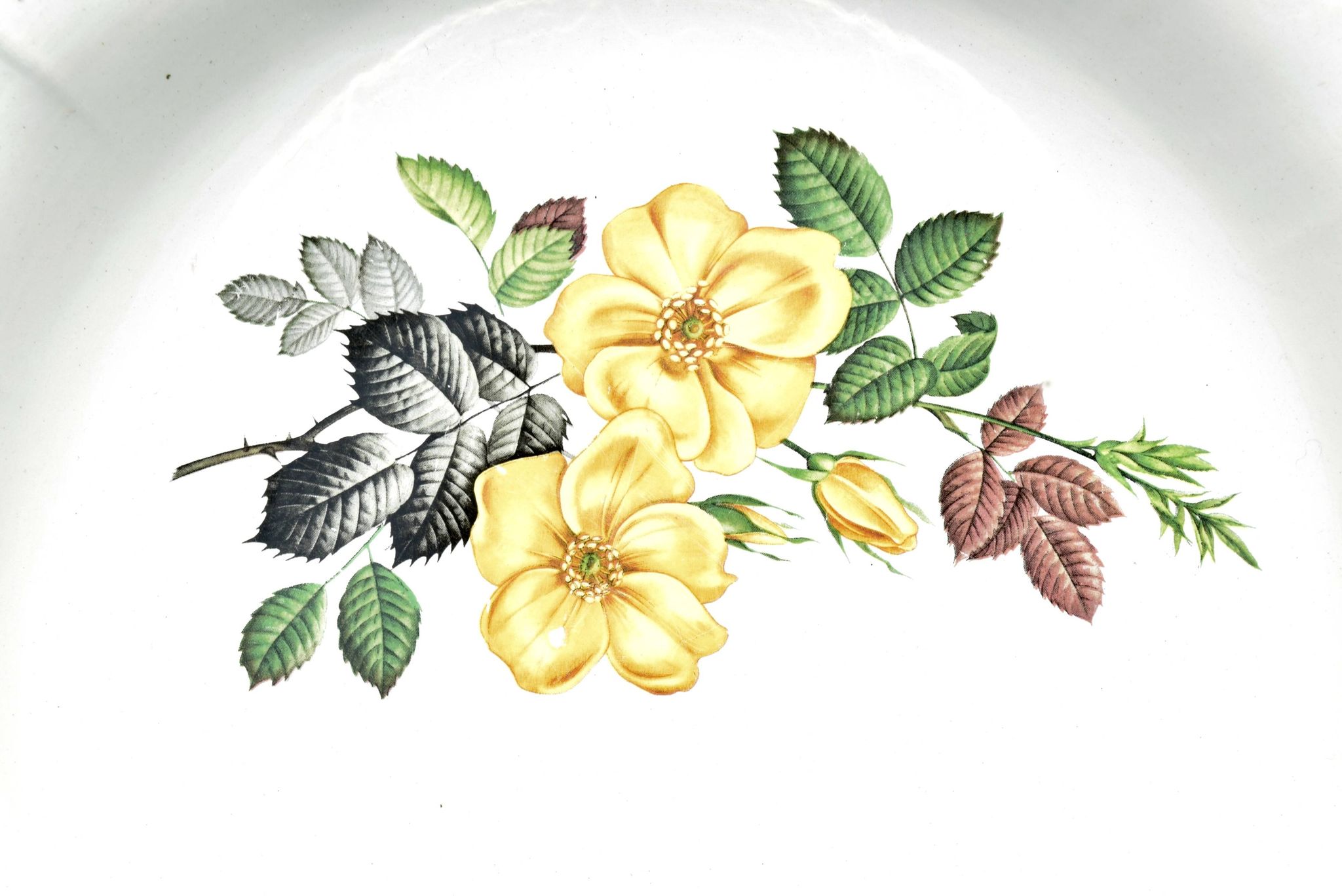 Antique round serving dish from Digoin and Sarreguemines - Rivoli series