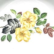 Antique round serving dish from Digoin and Sarreguemines - Rivoli series