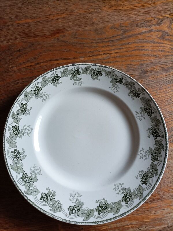 Plate mill wolves Violetta