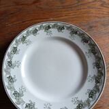 Plate mill wolves Violetta