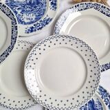 Vintage blue dinner plates