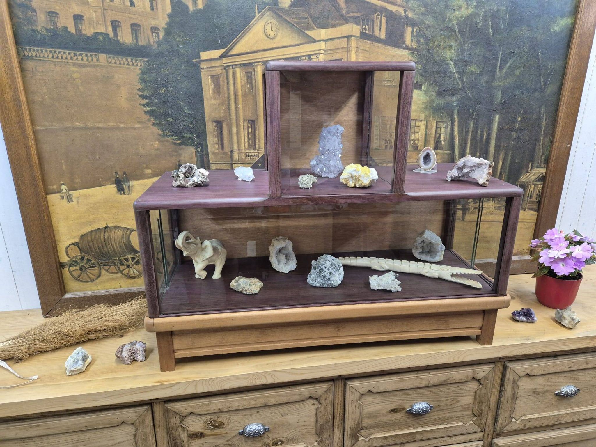 Antique amaranth display cabinet from the 1930s.