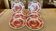 Lot de 6 assiettes  plates Sarreguemines  Bristol