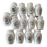 13 porcelain spice jars