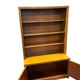 Library / vintage wooden display cabinet