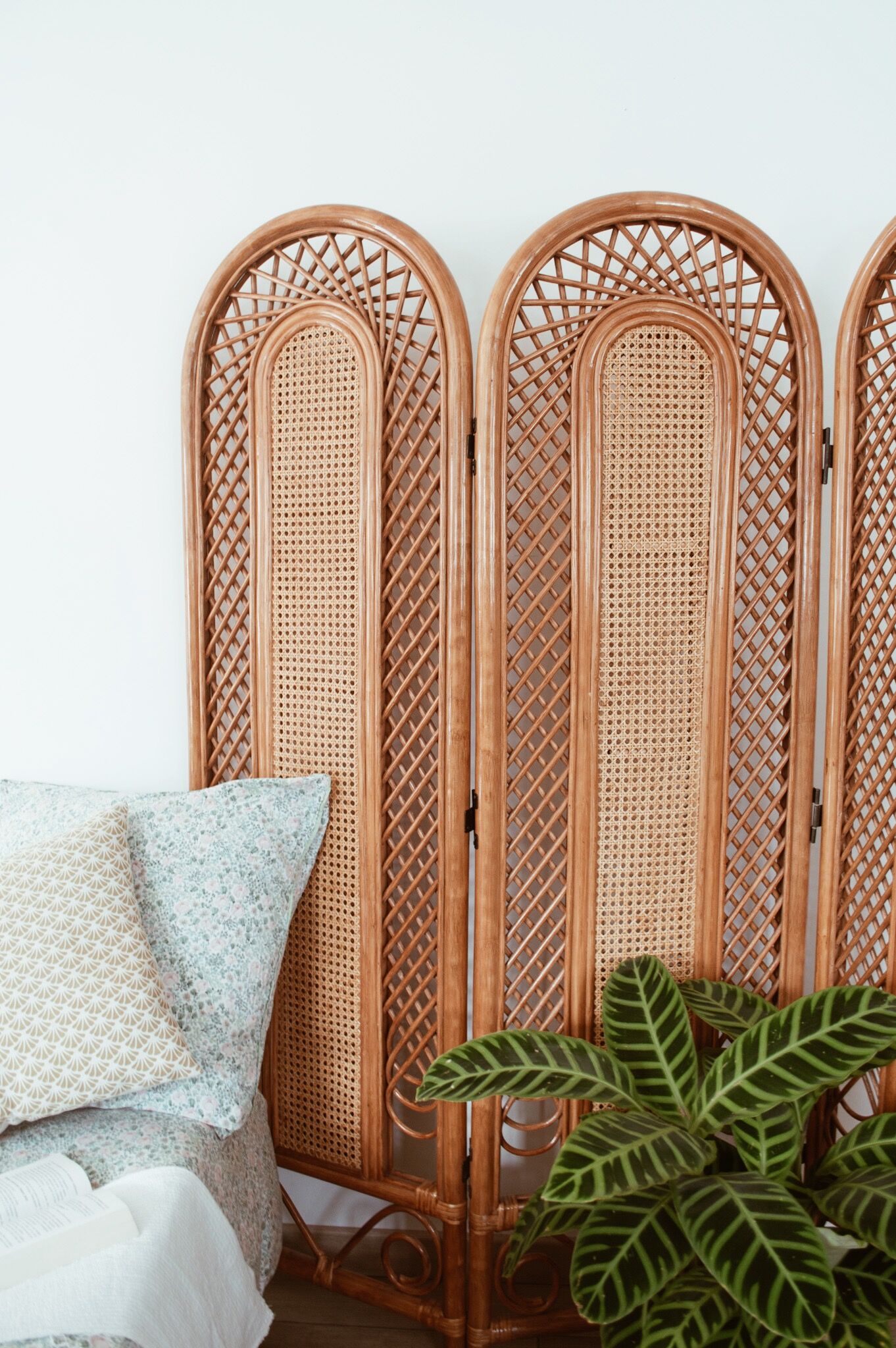 Rattan and cannage screen