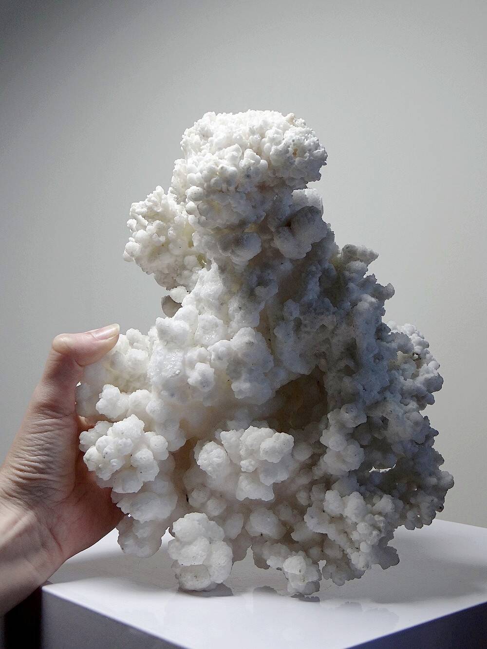 Collection minérale ancien spécimen d'aragonite blanche du Mexique +3,2kg