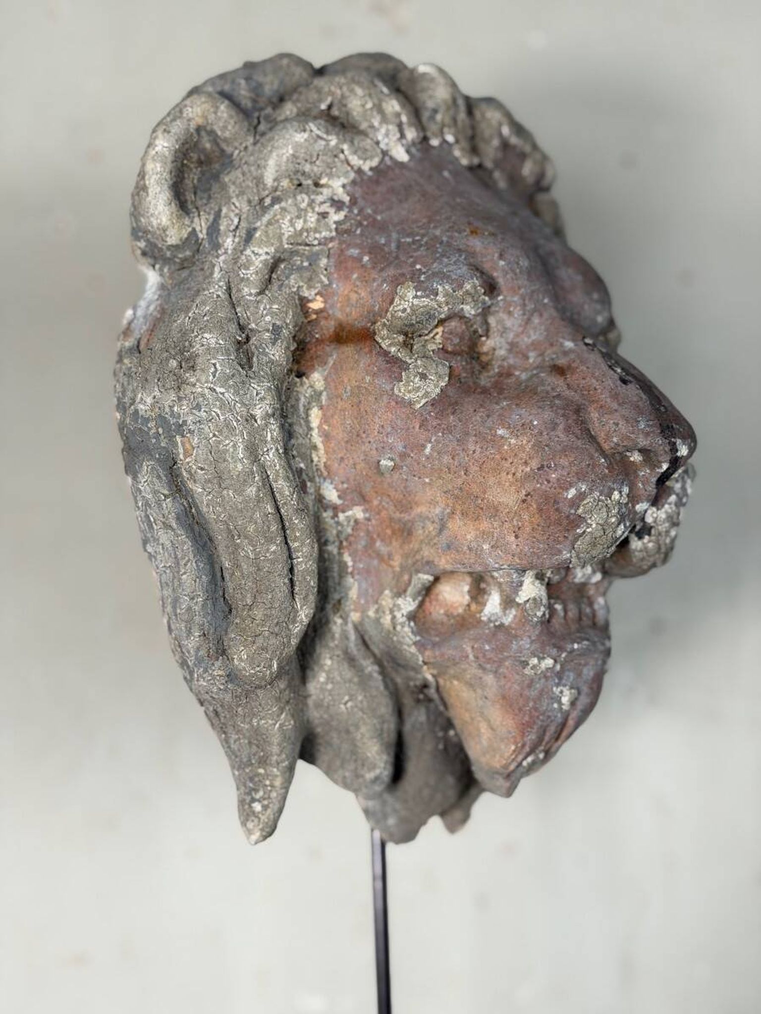 Sculpture en terre cuite, cache-boulin, élément de façade XIXème siècle