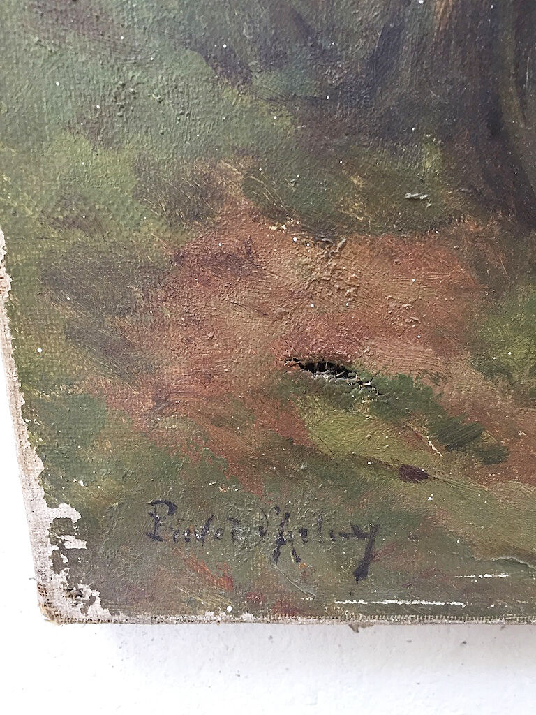 Landscape oil canvas