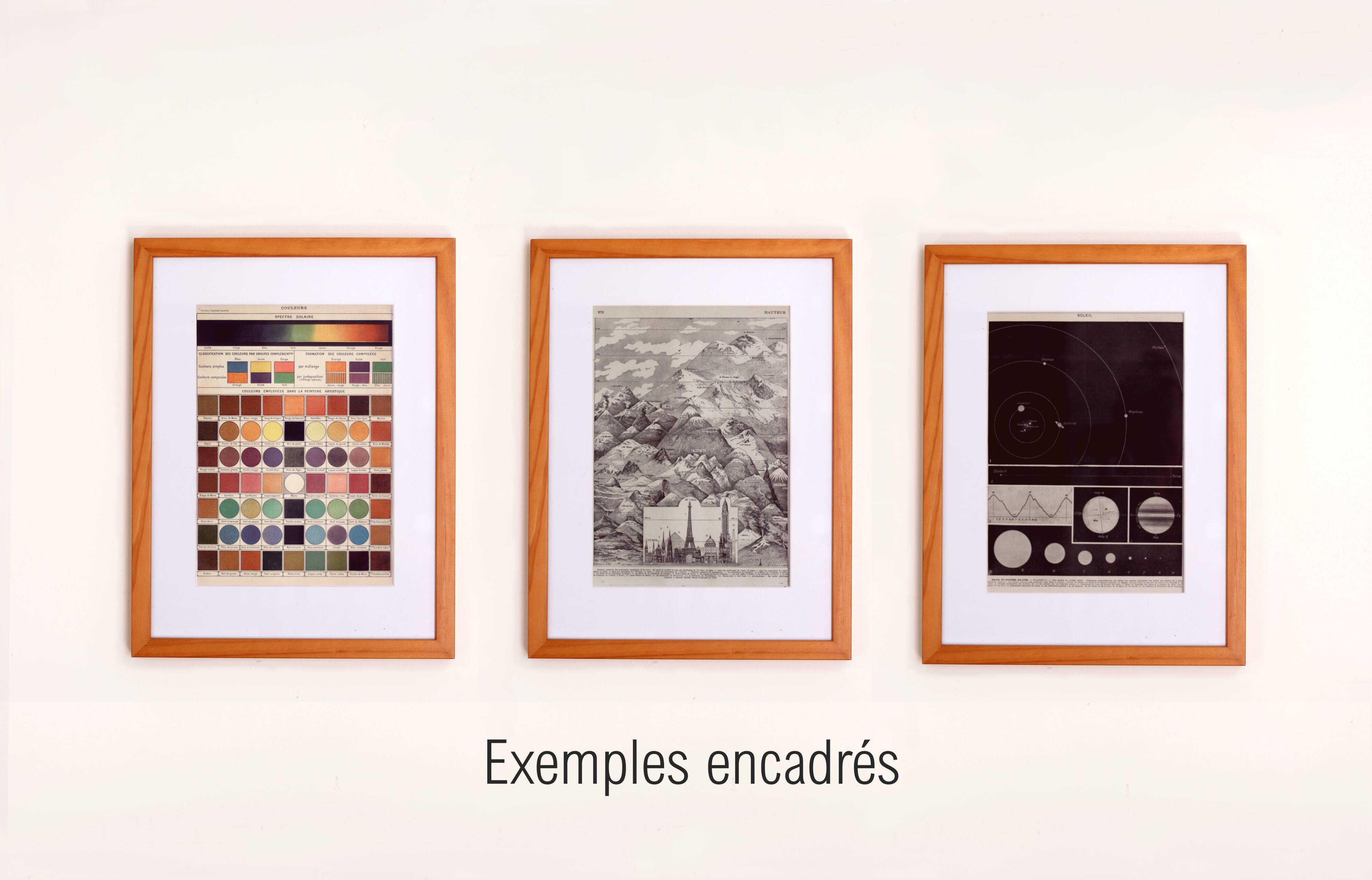 Antique engraving 1928, Man, anatomy, biology, medicine • Lithograph, original illustration